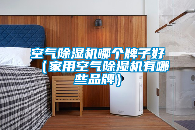 空氣除濕機哪個牌子好(家用空氣除濕機有哪些品牌)
