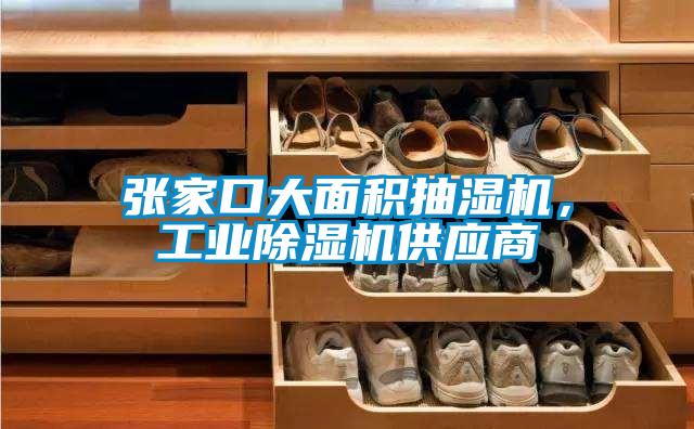 張家口大面積抽濕機，工業除濕機供應商