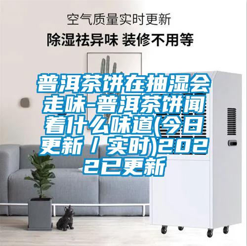 普洱茶餅在抽濕會(huì)走味-普洱茶餅聞著什么味道(今日更新/實(shí)時(shí))2022已更新