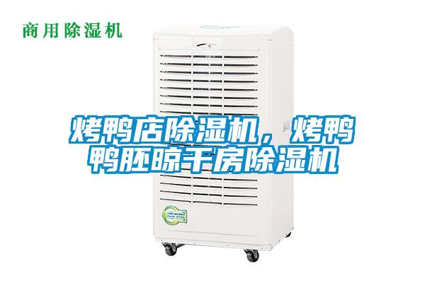 烤鴨店除濕機，烤鴨鴨胚晾干房除濕機