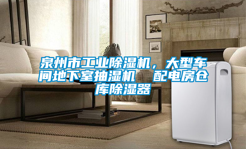 泉州市工業(yè)除濕機(jī)，大型車間地下室抽濕機(jī)  配電房倉庫除濕器