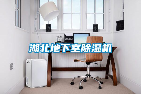 湖北地下室除濕機