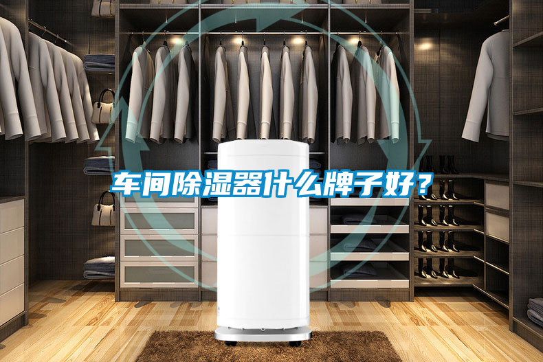 車間除濕器什么牌子好？
