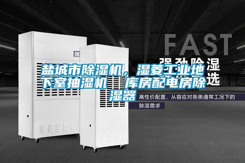 鹽城市除濕機(jī)，濕菱工業(yè)地下室抽濕機(jī)  庫房配電房除濕器