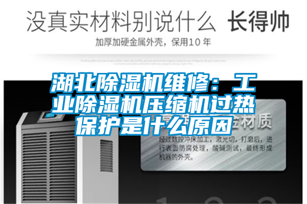 湖北除濕機維修:工業(yè)除濕機壓縮機過熱保護(hù)是什么原因
