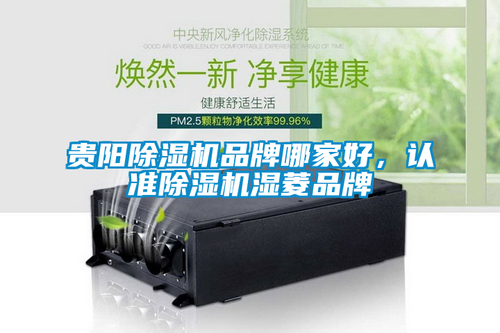 貴陽除濕機品牌哪家好,認準除濕機濕菱品牌