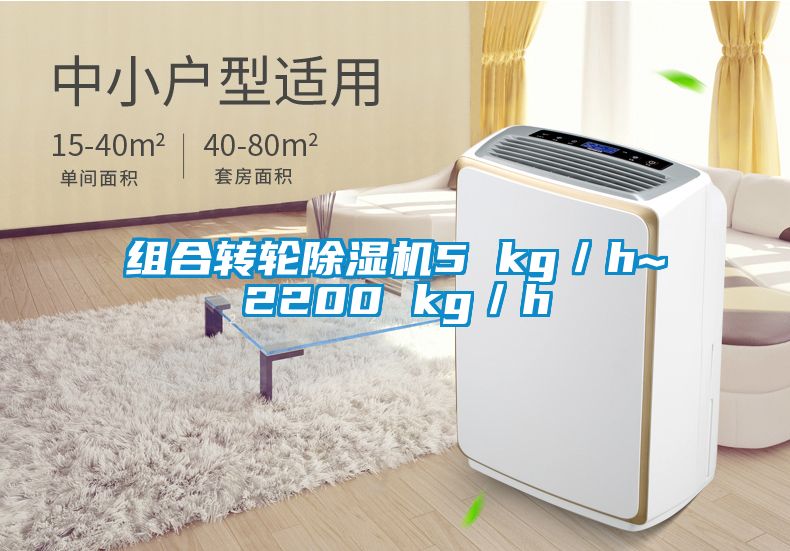 組合轉(zhuǎn)輪除濕機5 kg/h~2200 kg/h