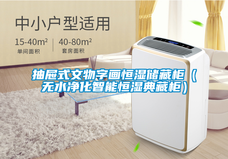 抽屜式文物字畫恒濕儲(chǔ)藏柜(無水凈化智能恒濕典藏柜)