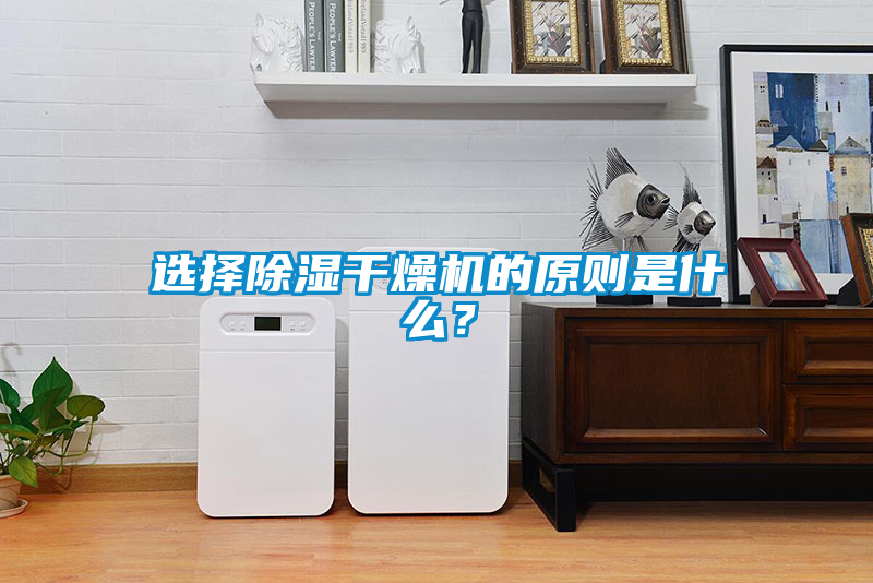 選擇除濕干燥機(jī)的原則是什么?