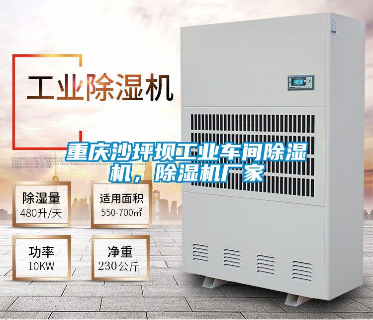 重慶沙坪壩工業(yè)車間除濕機,除濕機廠家