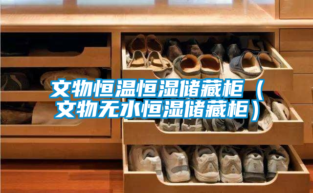 文物恒溫恒濕儲藏柜(文物無水恒濕儲藏柜)