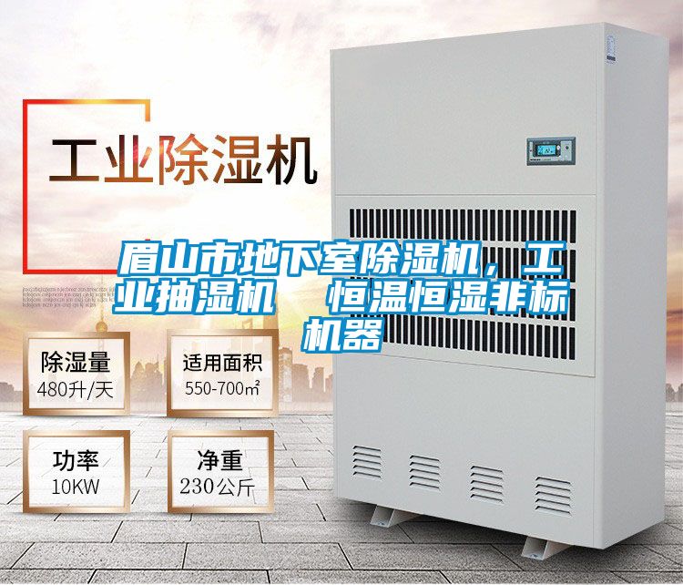 眉山市地下室除濕機,工業(yè)抽濕機 恒溫恒濕非標機器