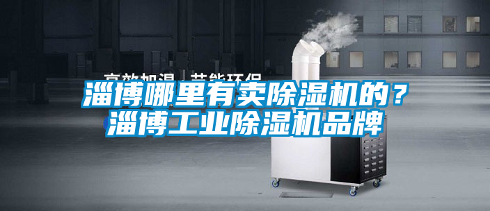 淄博哪里有賣除濕機的?淄博工業除濕機品牌