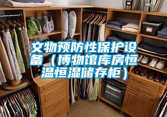 文物預(yù)防性保護設(shè)備(博物館庫房恒溫恒濕儲存柜)