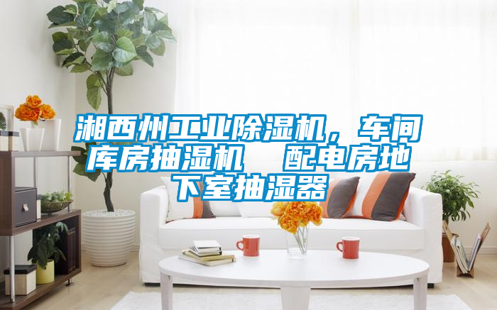 湘西州工業除濕機，車間庫房抽濕機  配電房地下室抽濕器