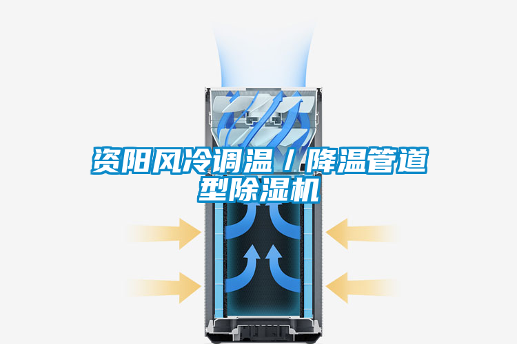 資陽風冷調溫/降溫管道型除濕機