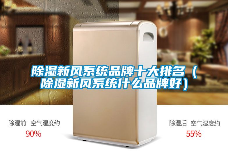 除濕新風系統品牌十大排名(除濕新風系統什么品牌好)
