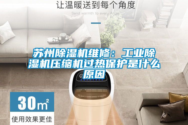 蘇州除濕機維修:工業(yè)除濕機壓縮機過熱保護是什么原因