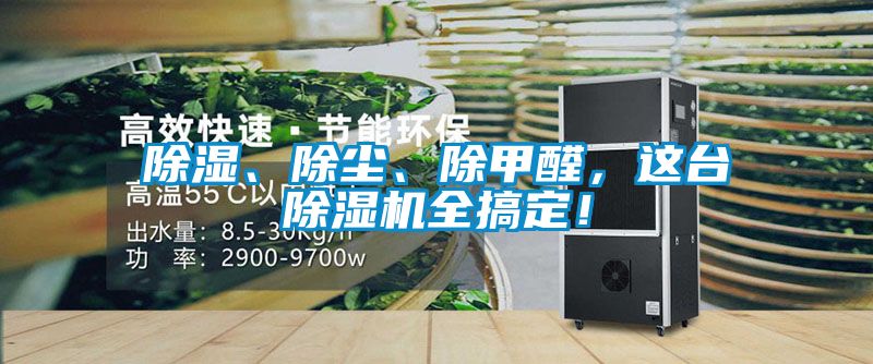 除濕、除塵、除甲醛，這臺除濕機全搞定！