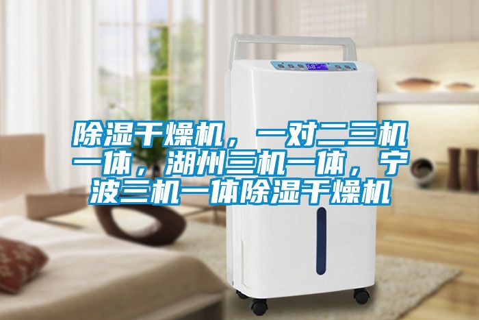 除濕干燥機(jī),一對二三機(jī)一體,湖州三機(jī)一體,寧波三機(jī)一體除濕干燥機(jī)