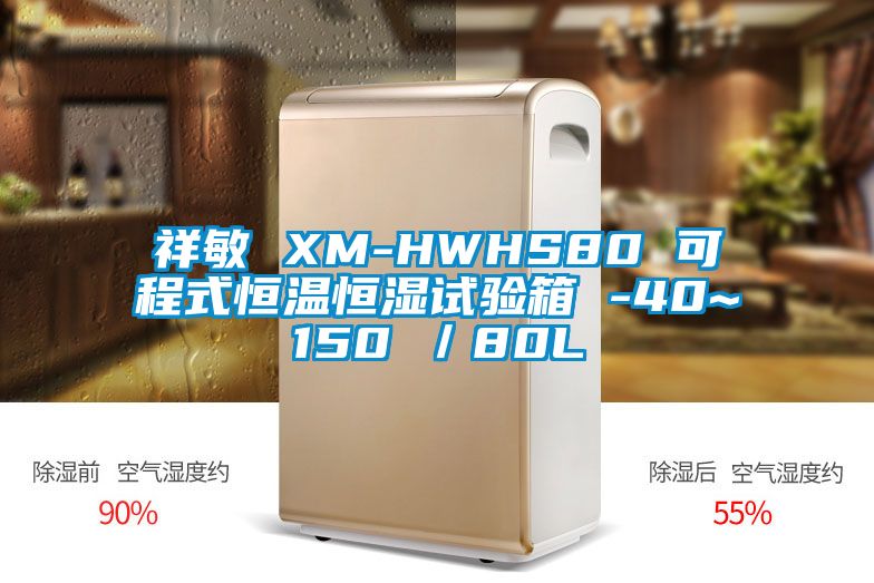 祥敏 XM-HWHS80 可程式恒溫恒濕試驗(yàn)箱 -40~150℃/80L