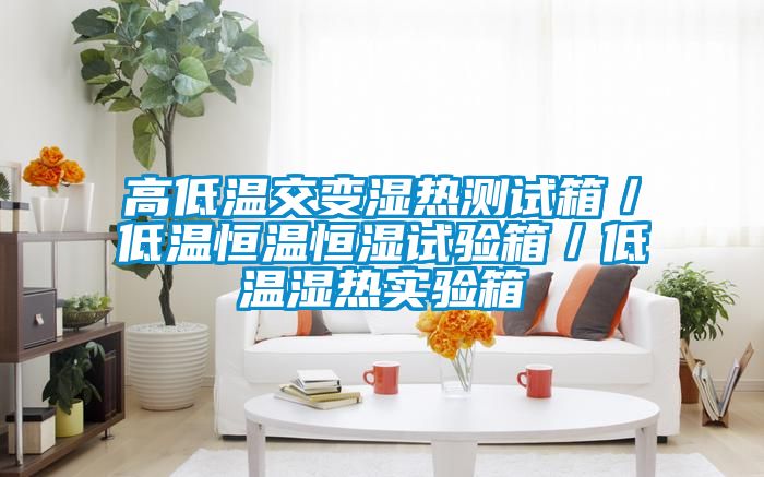 高低溫交變濕熱測試箱/低溫恒溫恒濕試驗箱/低溫濕熱實驗箱