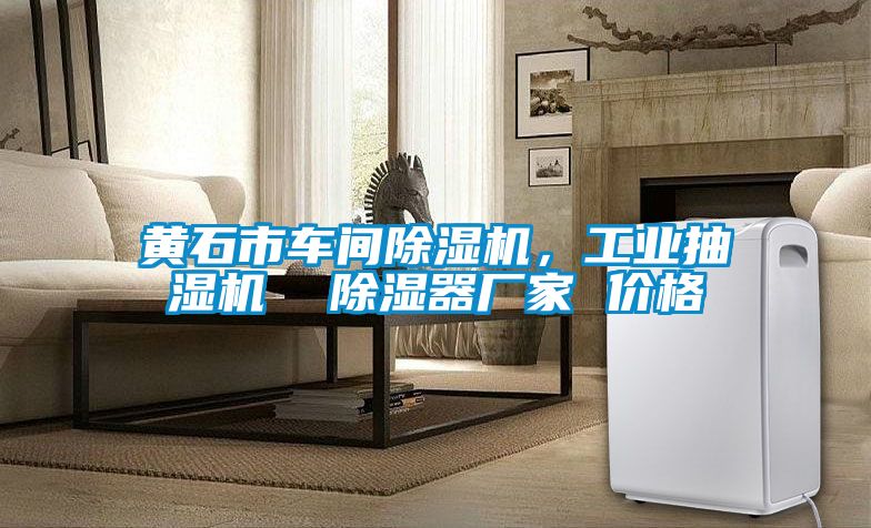 黃石市車間除濕機,工業抽濕機 除濕器廠家 價格