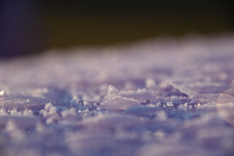 你知道除濕機(jī)為什么需要自動(dòng)化霜嗎? 冷凍式除濕機(jī)化霜功能