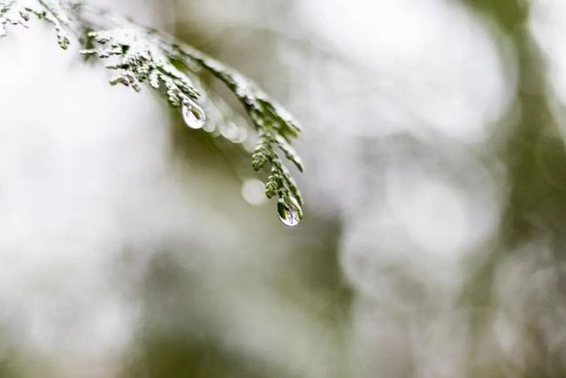 空氣濕度大帶來的危害有哪些，你知道嗎？