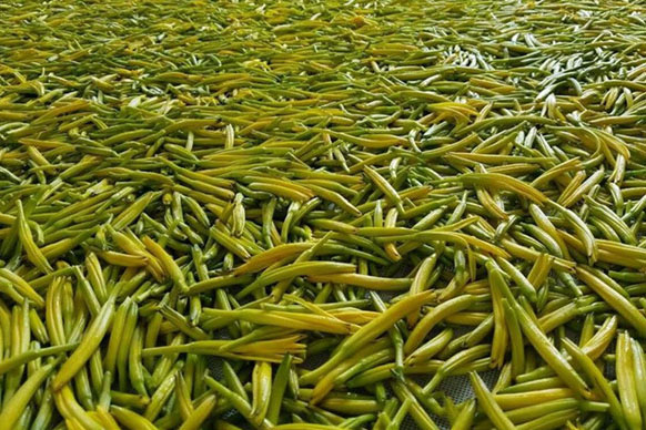 無(wú)硫金針菜烘干如何保持品相?不發(fā)黑?